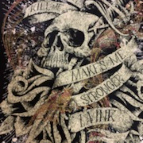 2009 LA Ink &  TM discovery 2009  What doesn't kill  me makes me stronger Tee - Picture 8 of 12